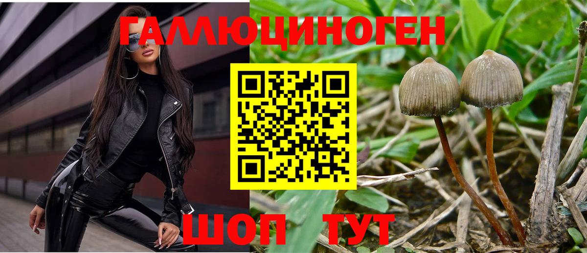 Галлюциногенные грибы Cubensis Саянск