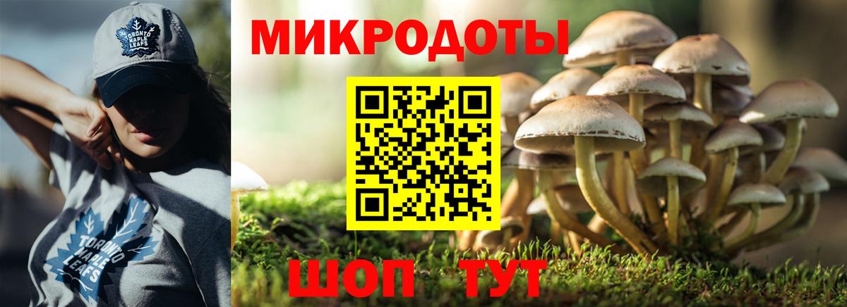 Саянск  Галлюциногенные грибы мицелий  Вход с VPN 